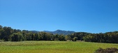 Enlarge photo 182