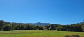 Enlarge photo 183