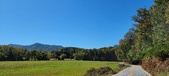 Enlarge photo 186