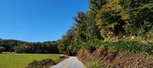 Enlarge photo 187