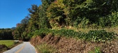 Enlarge photo 188