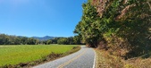 Enlarge photo 190