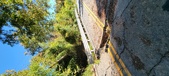 Enlarge photo 196
