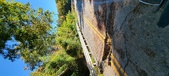 Enlarge photo 197