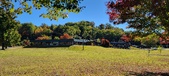 Enlarge photo 199