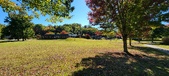 Enlarge photo 206