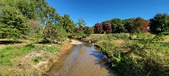 Enlarge photo 207