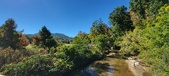 Enlarge photo 211
