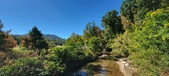 Enlarge photo 212