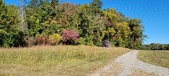 Enlarge photo 216