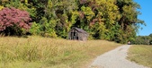 Enlarge photo 215