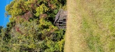 Enlarge photo 219