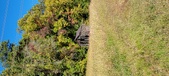 Enlarge photo 217