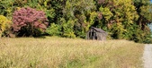 Enlarge photo 220