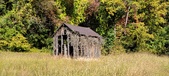 Enlarge photo 222