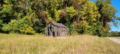 Enlarge photo 226