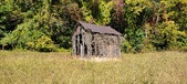 Enlarge photo 225