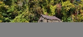 Enlarge photo 275