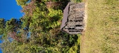 Enlarge photo 228