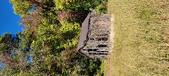 Enlarge photo 229