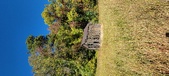 Enlarge photo 230