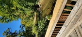 Enlarge photo 237