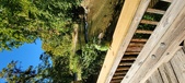 Enlarge photo 239