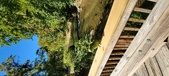 Enlarge photo 243