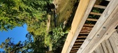 Enlarge photo 242