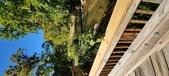 Enlarge photo 241