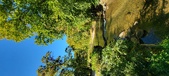 Enlarge photo 240