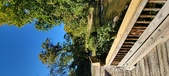 Enlarge photo 246
