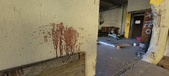 Enlarge photo 301