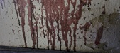Enlarge photo 302