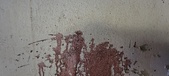 Enlarge photo 309