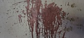 Enlarge photo 310