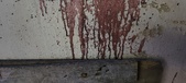 Enlarge photo 311