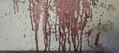 Enlarge photo 312