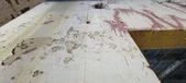 Enlarge photo 316