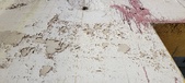 Enlarge photo 315
