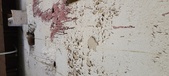 Enlarge photo 314