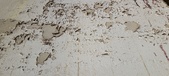 Enlarge photo 318