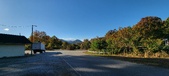 Enlarge photo 340