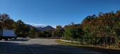 Enlarge photo 341