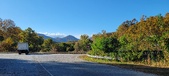 Enlarge photo 339