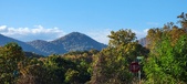 Enlarge photo 342