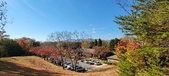 Enlarge photo 332