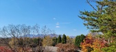 Enlarge photo 333