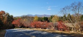 Enlarge photo 335