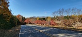 Enlarge photo 331